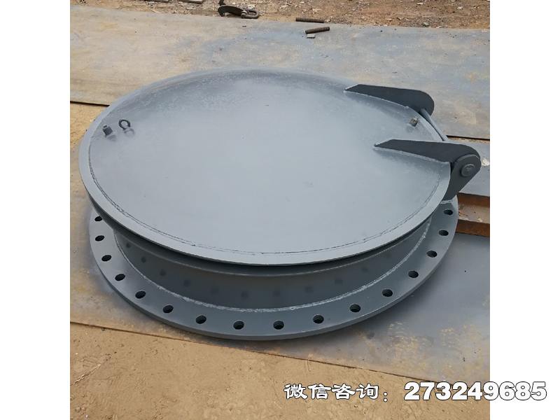 襄城不锈钢法兰连接拍门