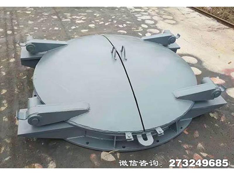 江洲双开圆形钢制开门