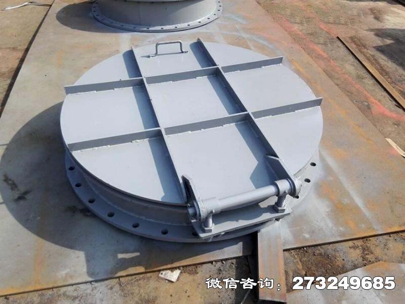 江洲平板式钢制拍门