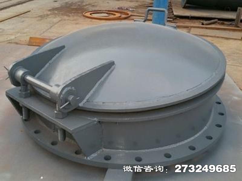 江洲拱形钢制拍门