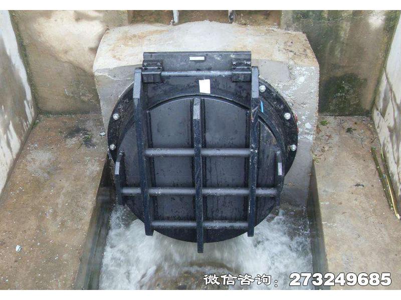 襄城钢制水渠拍门